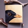 Golden Blackbird Blank Greeting Card
