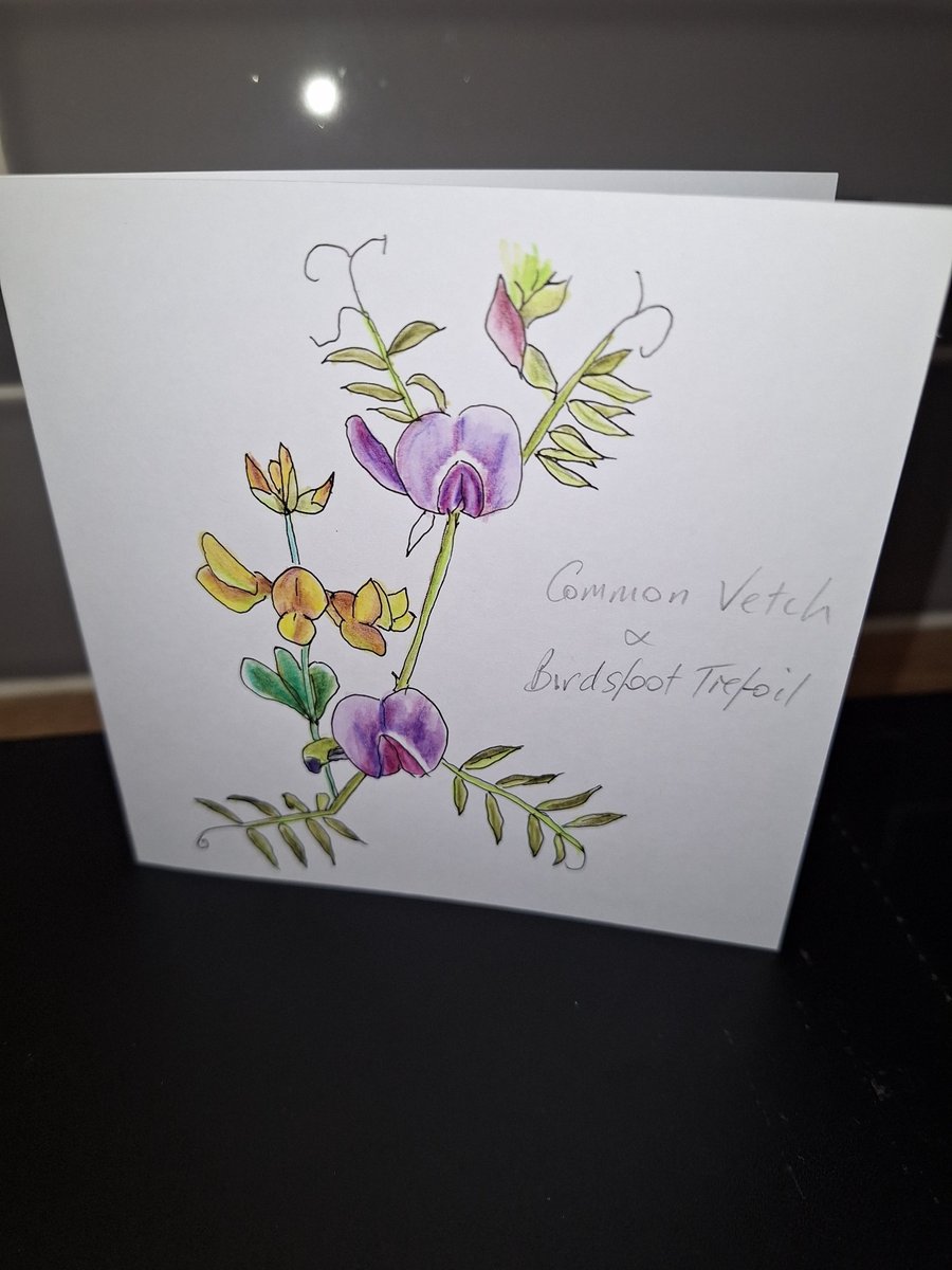 Original Handpainted Greetings Card- Common Vetch & Birdsfoot Trefoil