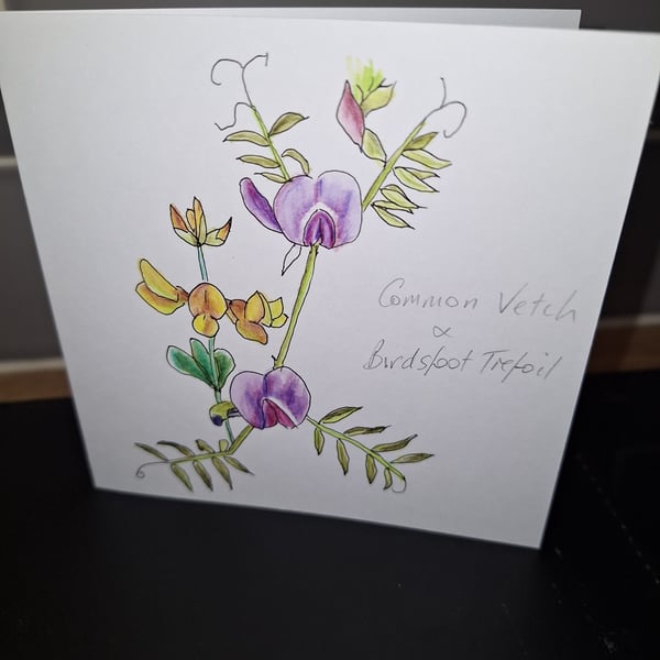Original Handpainted Greetings Card- Common Vetch & Birdsfoot Trefoil
