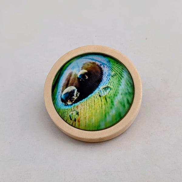 Peacock feather brooch, wooden setting