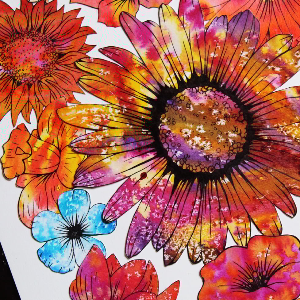 Chelsea Swan Illustration 