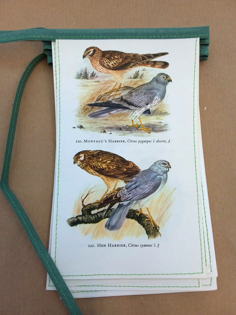 Book bunting - birds (ducks)
