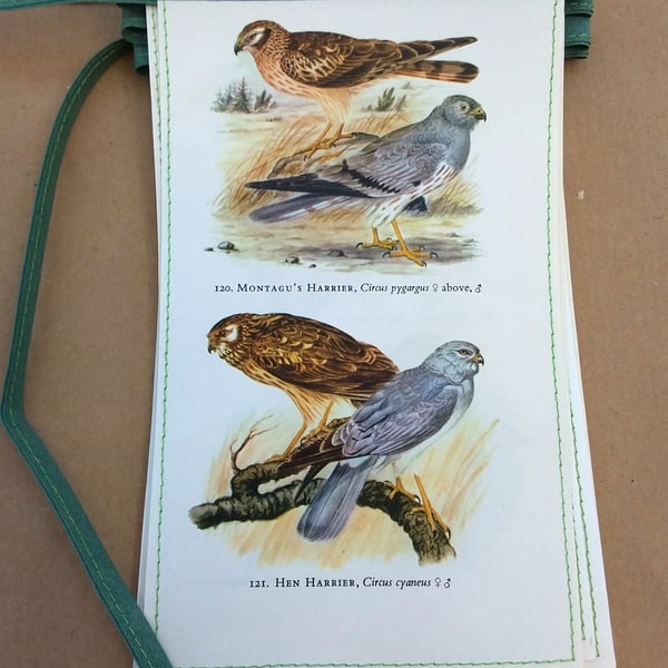 Book bunting - birds (ducks)