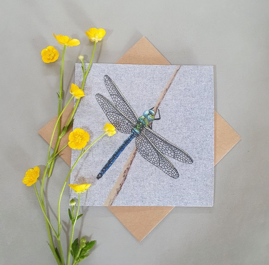 Dragonfly card, blank card, British insects, thinking of you card