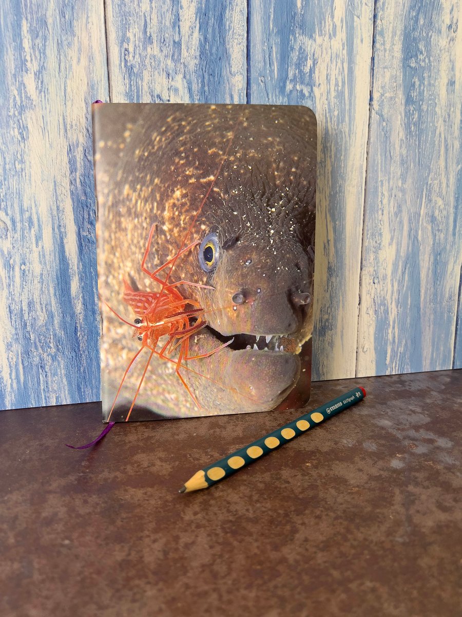 Notebook, Marine themed, A5 (ish), made from up-cycled & recycled materials.