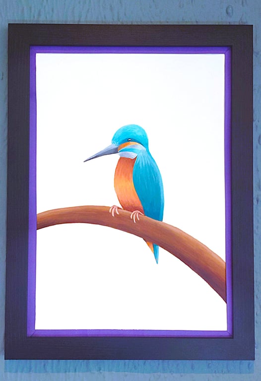 Handmade Unique Framed A3 Print Colourful Kingfisher Purple Border Wallart