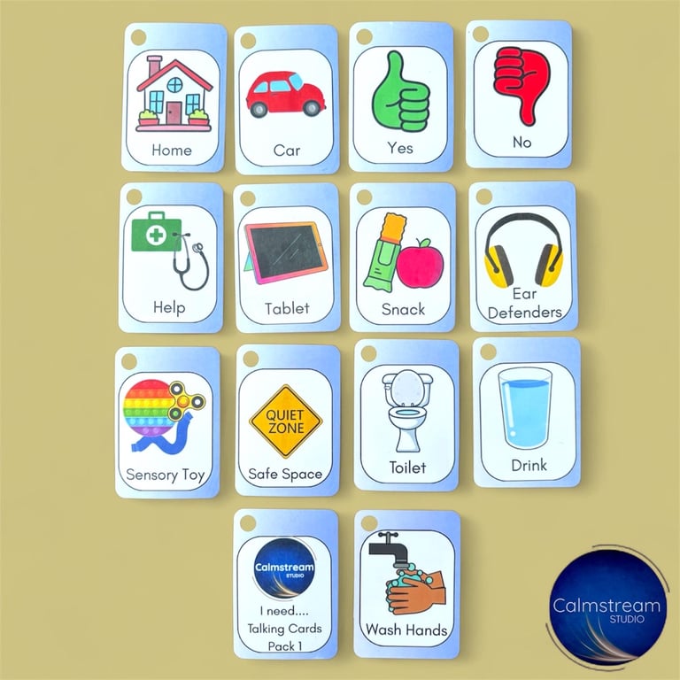 PECS Communication Keyring - Basic Needs Visual Aid, Autism SEN