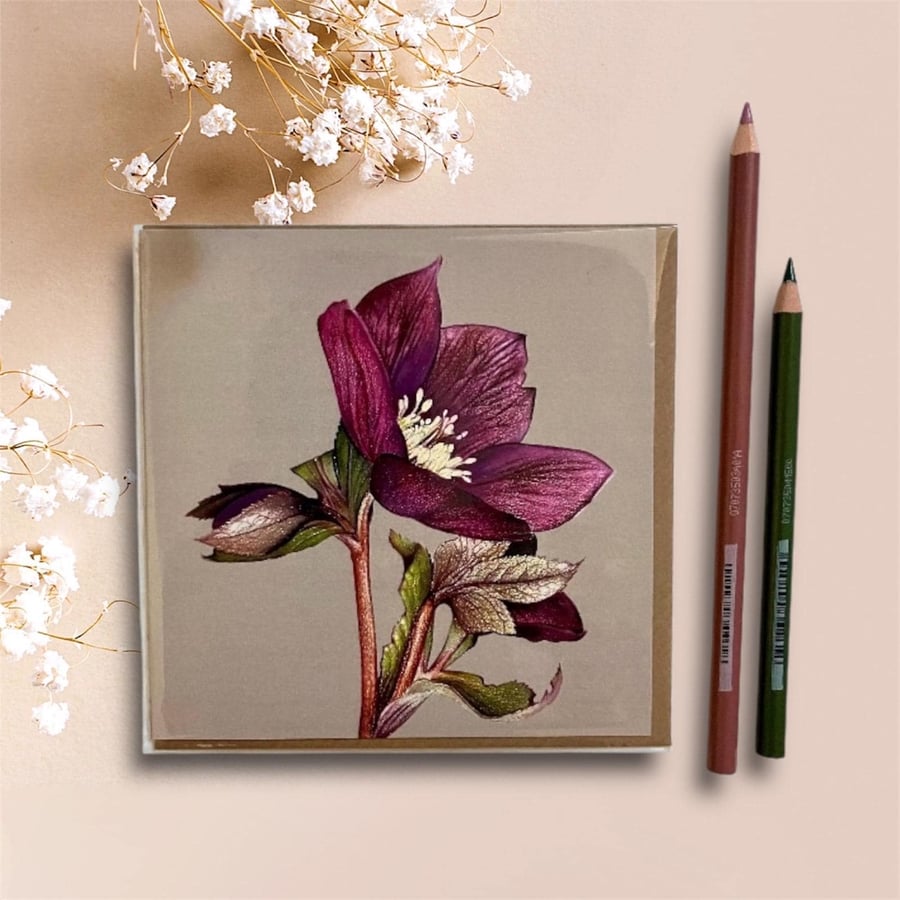Hellebore Blank Greeting Card