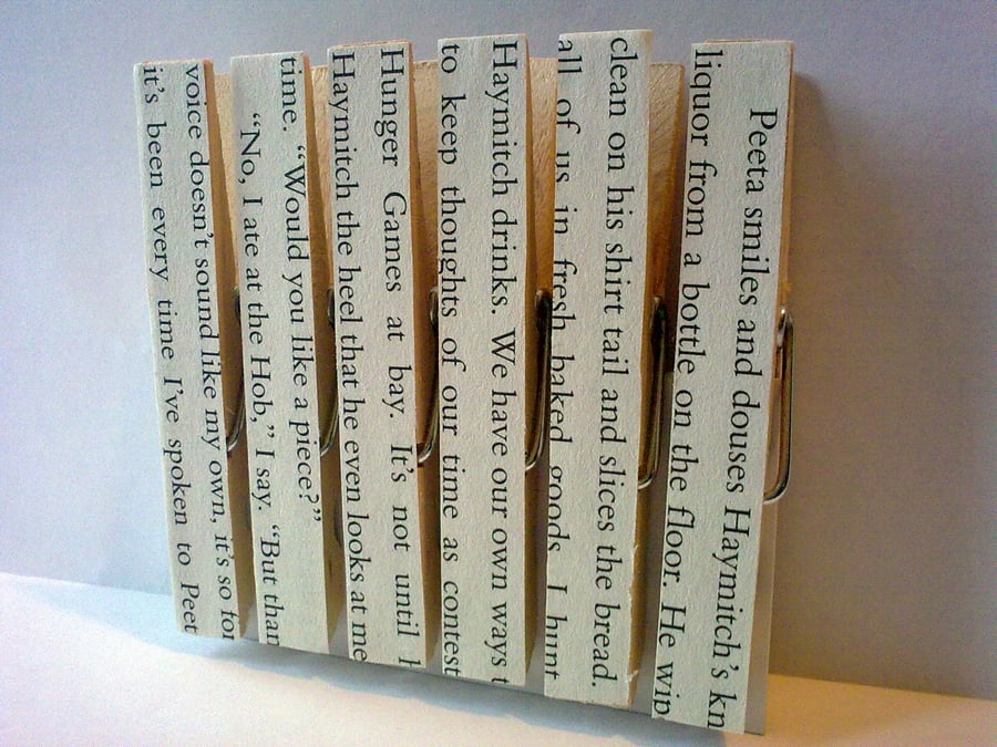 Upcycled Hunger Games Literary Magnetic Pegs fridge magnets peg