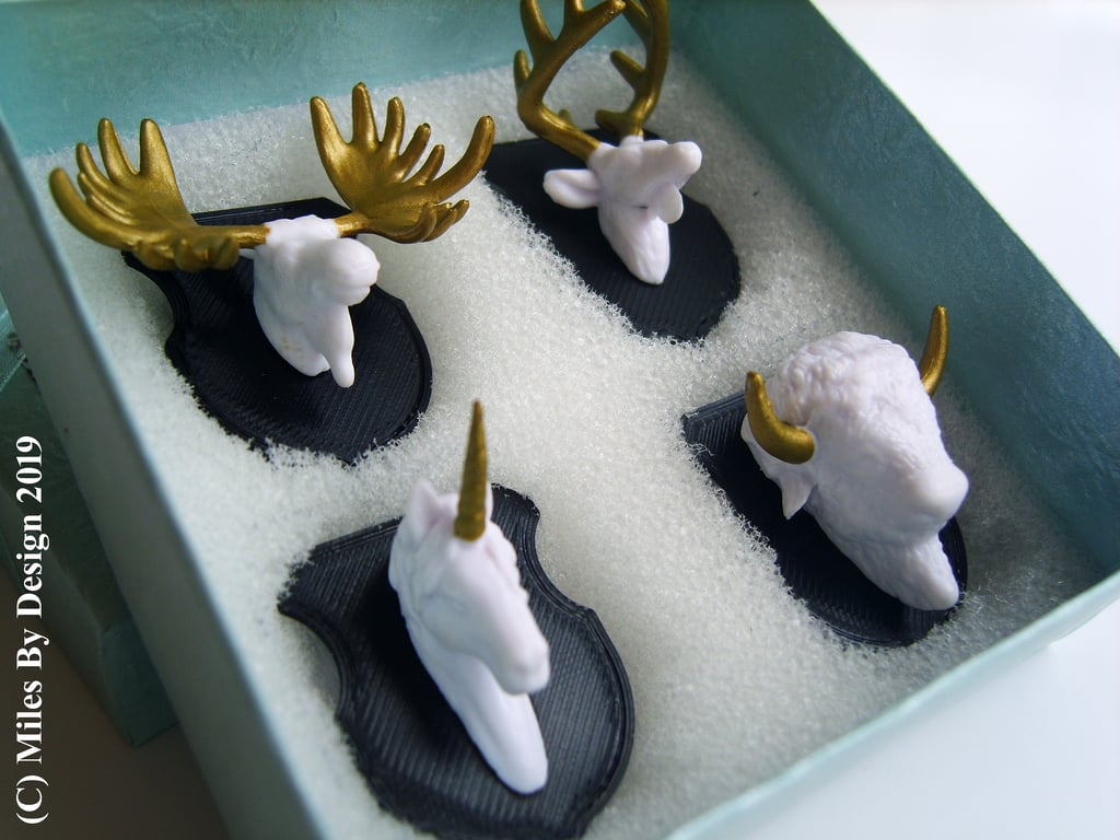 Set of 4 Mounted Head Magnets