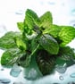 Cool Mint High Strength Professional Flavouring. Over 250 Flavours. - Image 1