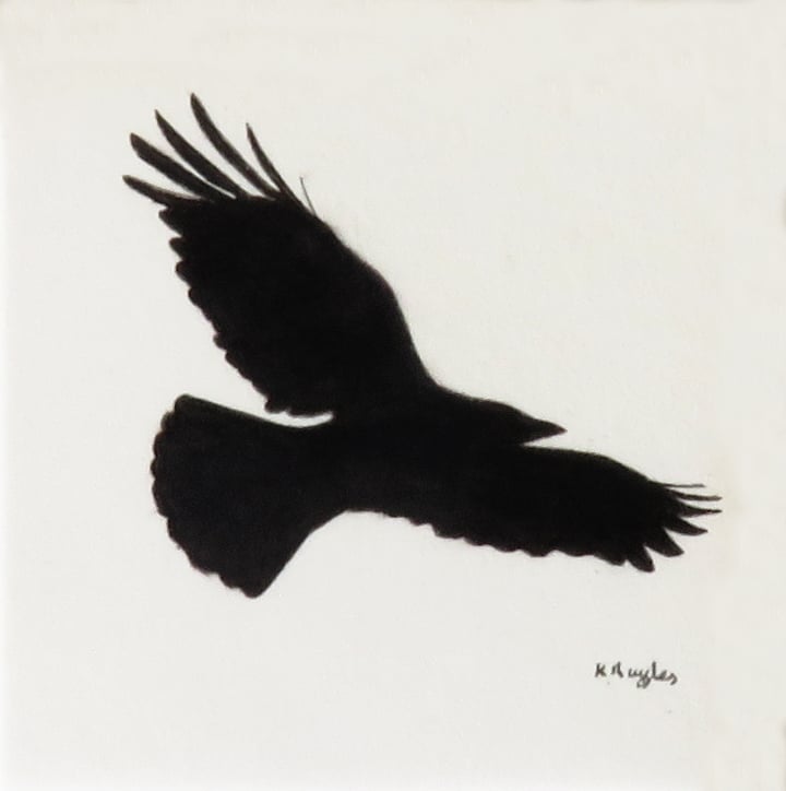 Courting Crow 2, original charcoal pencil drawi... - Folksy