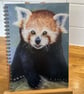A5 Red Panda Notebook