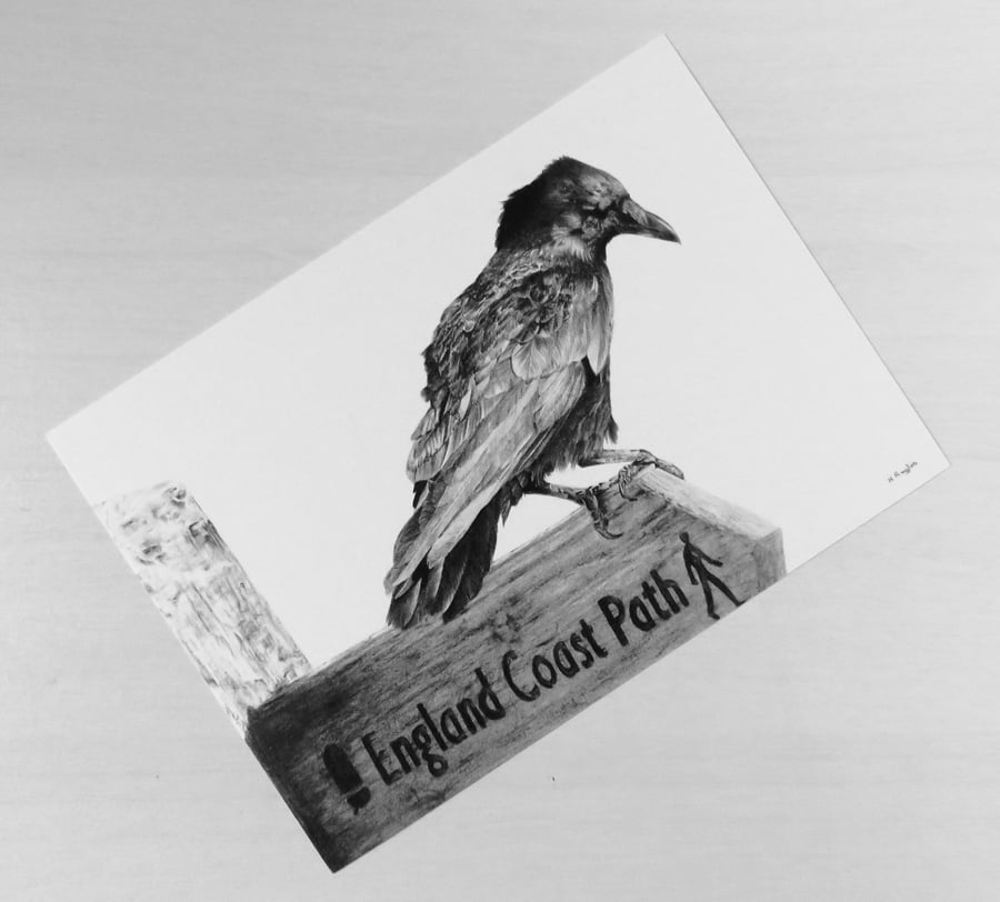 Perching crow wildlife print on white recycled card stock, A5