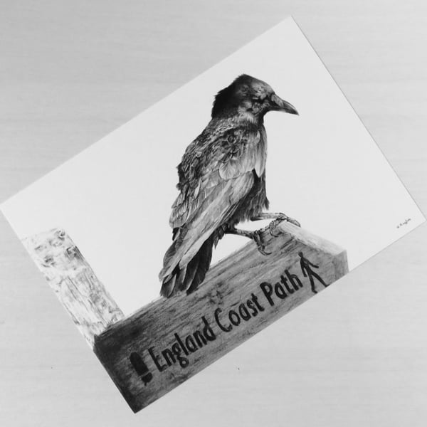 Perching crow wildlife print on white recycled card stock, A5