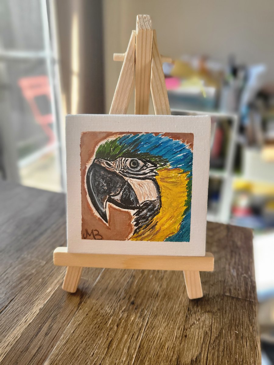 Original acrylic painting parrot mini canvas 