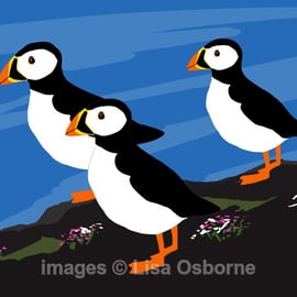 Puffins. Signed print. Digital illustration. Coast. Wildlife