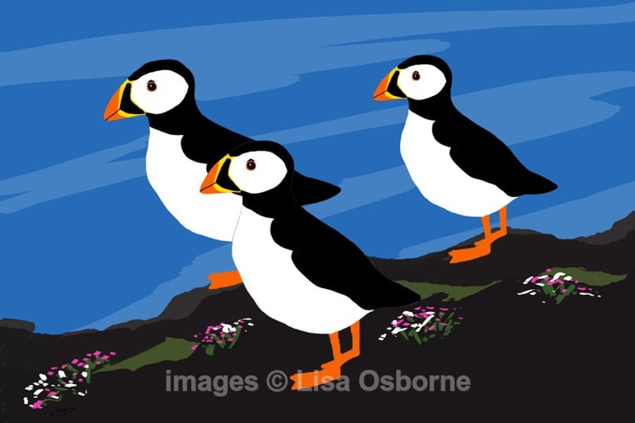 Puffins. Signed print. Digital illustration. Coast. Wildlife