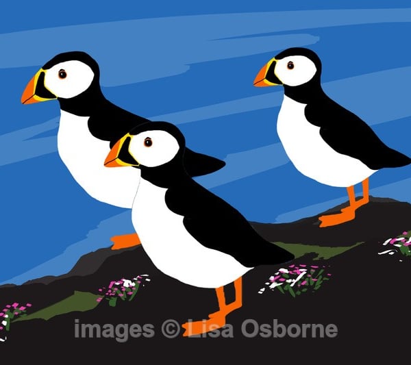 Puffins. Signed print. Digital illustration. Coast. Wildlife