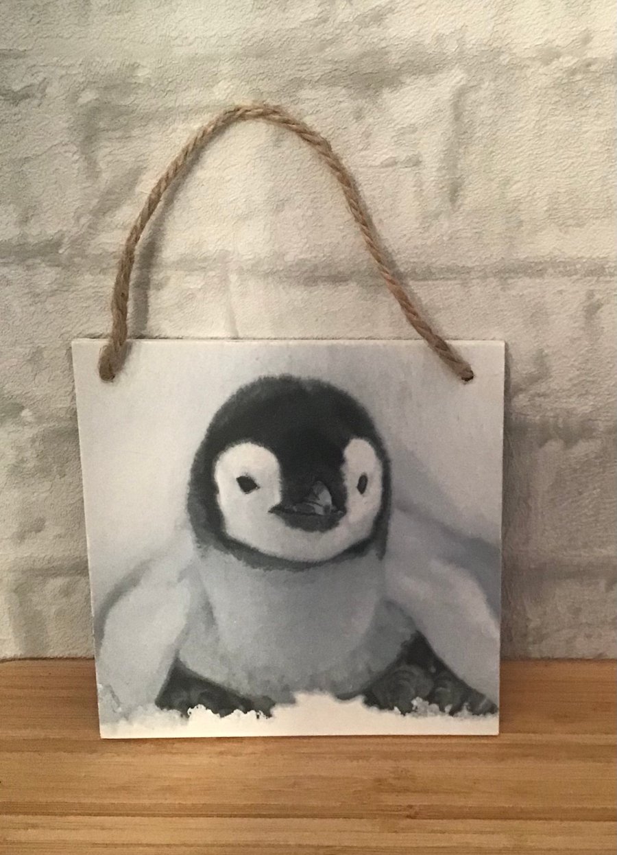 Fluffy Emperor Penguin Chick, wooden hanging wall plaque.