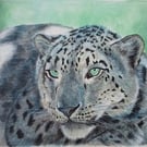 'A Moment Of Peace' Snow Leopard Painting in Acrylics