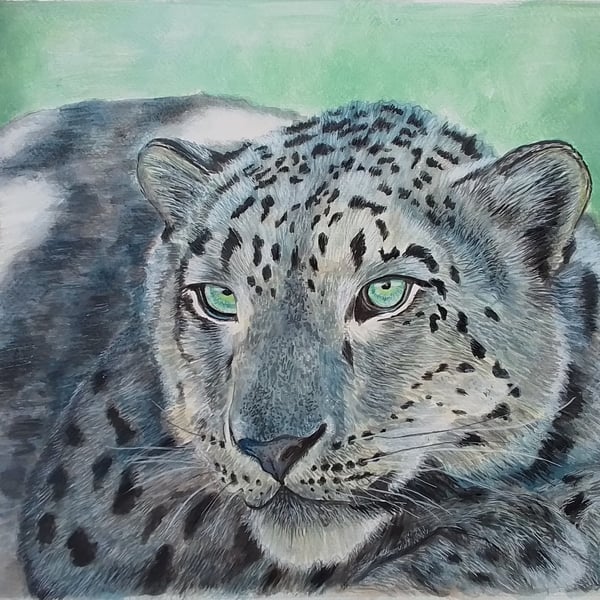 'A Moment Of Peace' Snow Leopard Painting in Acrylics