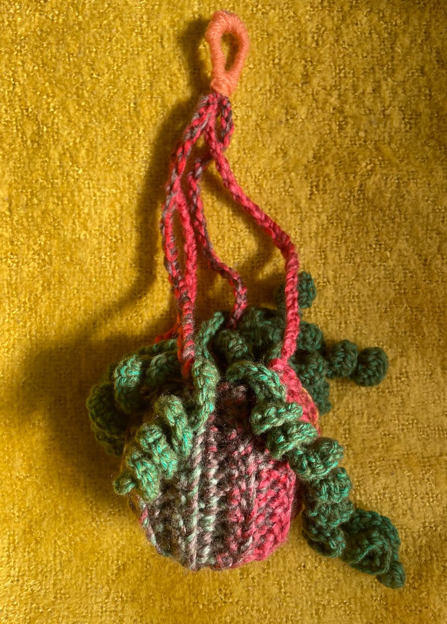 Crochet hanging houseplant. 