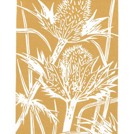 Seedhead titled 'Eryngium' - Original Linocut Print