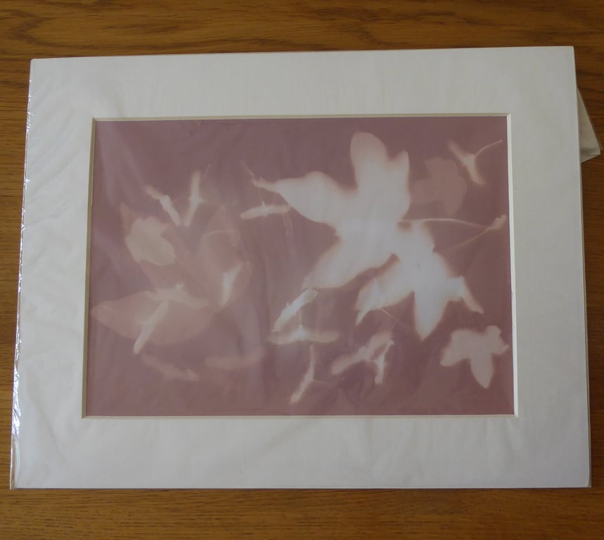 Leaves & Seeds Print from Original Photogram ivory mount to fit 11x14 inch frame