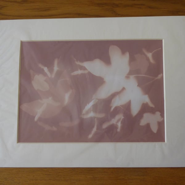 Leaves & Seeds Print from Original Photogram ivory mount to fit 11x14 inch frame