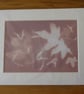 Leaves & Seeds Print from Original Photogram ivory mount to fit 11x14 inch frame