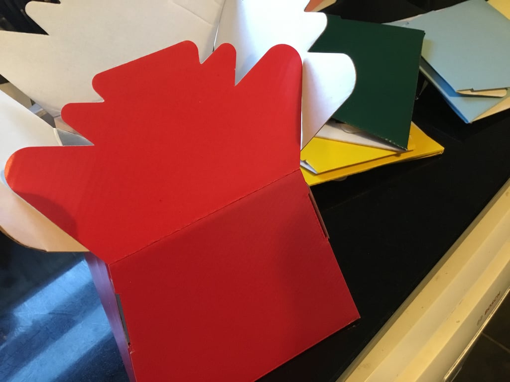 Flower bouquet boxes x9. Living vase. Boxes for flowers and bouquets. Ref 206