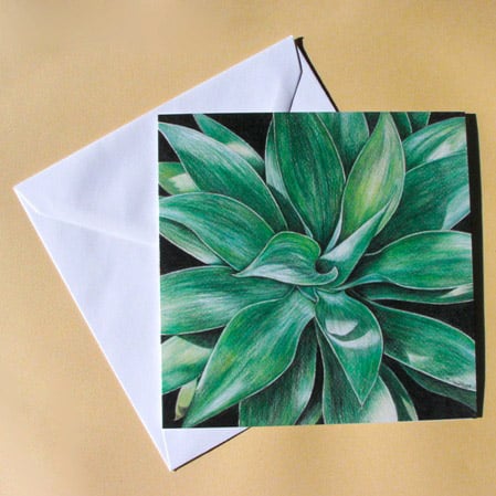 Greetings Card - Blank - Agave Attenuata