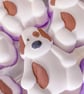 Spotty Dog Bath Bomb - Image 2