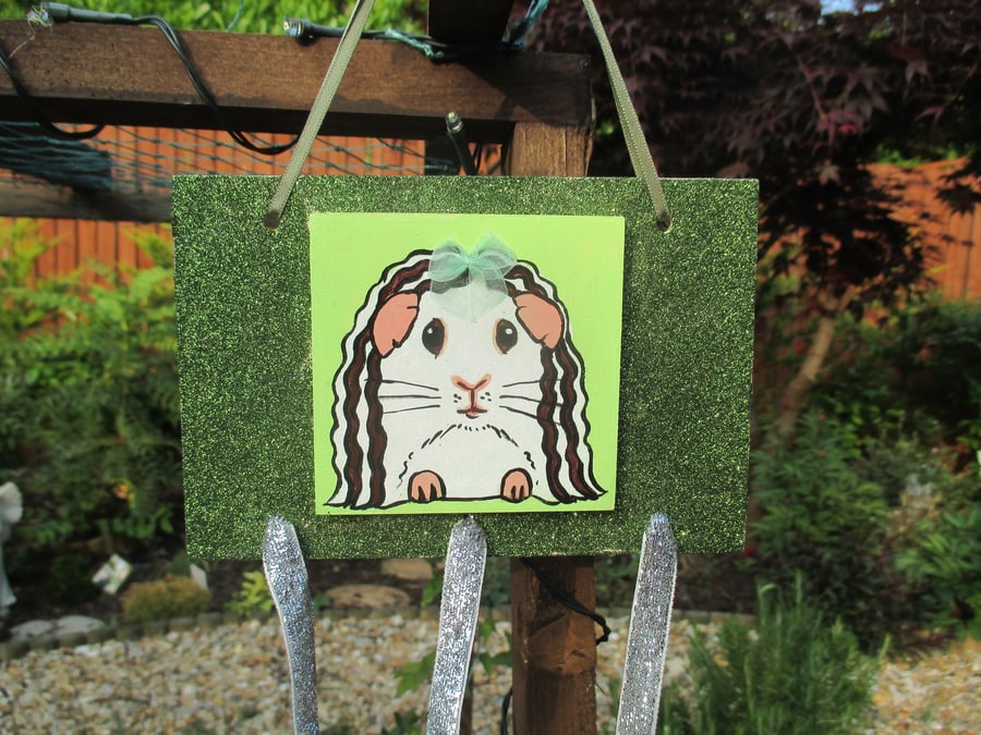 Guinea Pig Hair Clip Slide Holder Organiser Original Painting Green