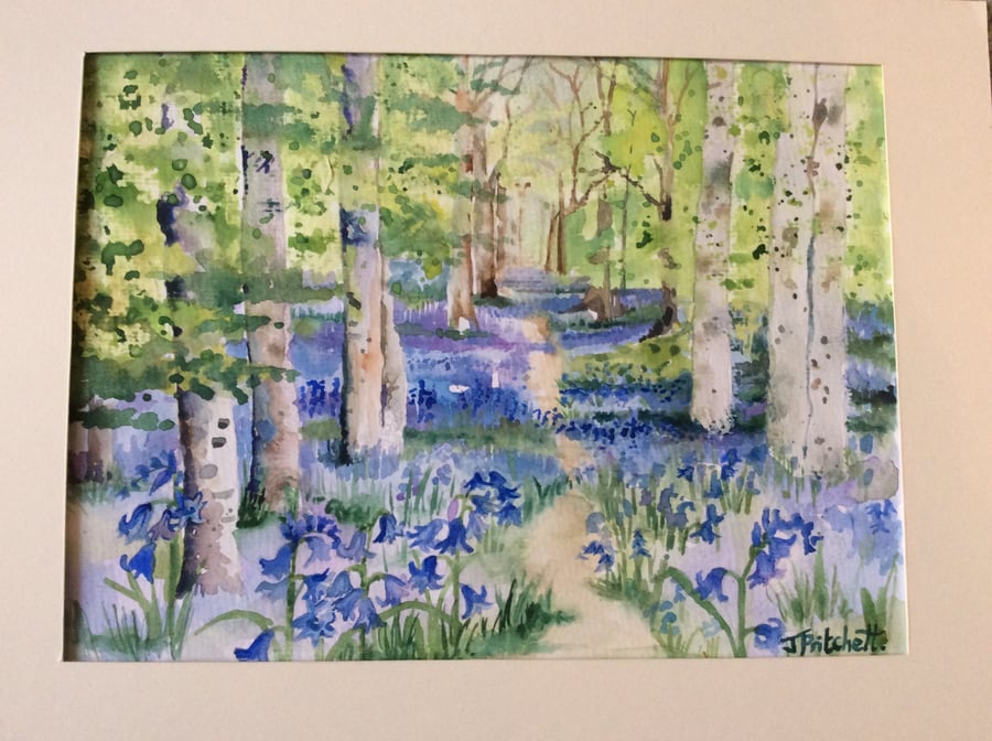 Bluebell wood