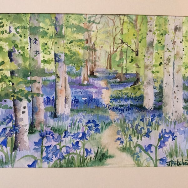Bluebell wood
