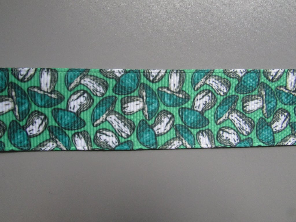 Magic Enchanted Toadstool Mushroom 2.5cm Grosgrain Ribbon x 1 metre