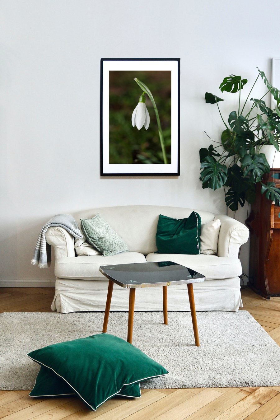 The beauty that is a single Snowdrop
