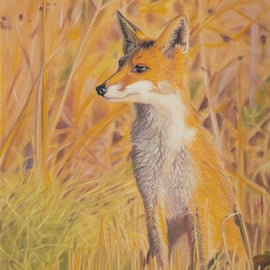 'A Watchful Eye' - 5x7 - signed limited edition giclee print