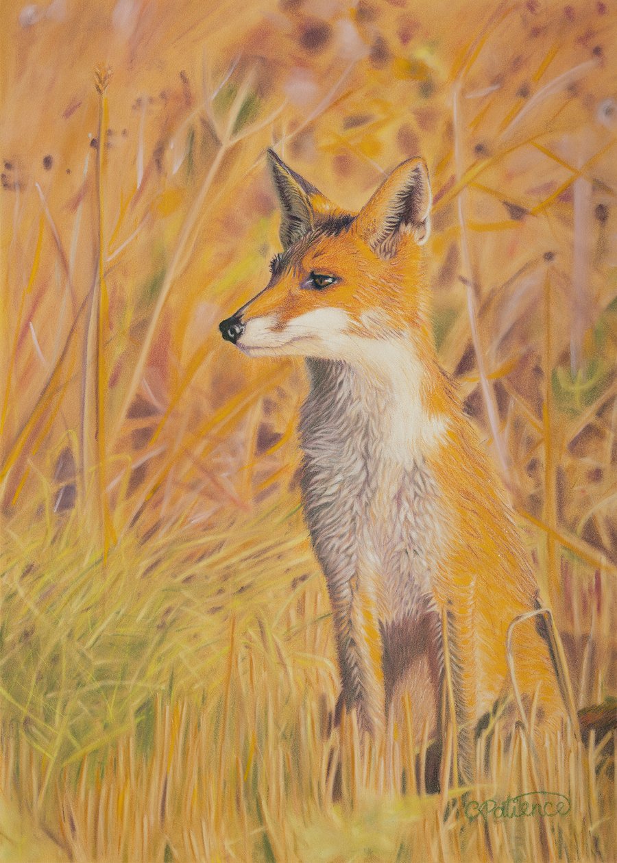 'A Watchful Eye' - 5x7 - signed limited edition giclee print