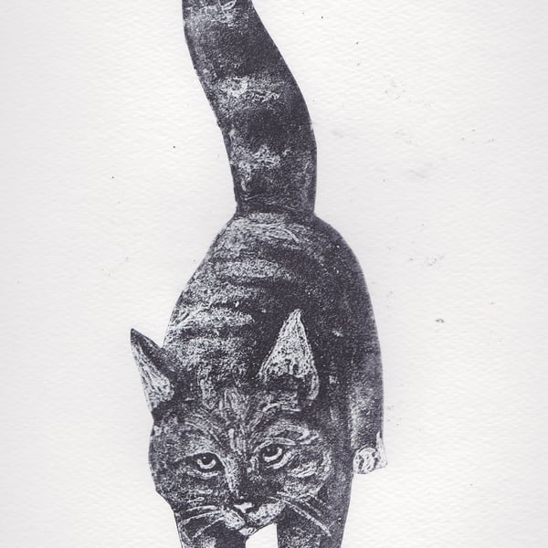 Black Cat Limited Edition Collagraph Print