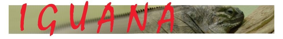 Iguana