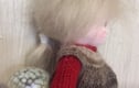 knitted dolls