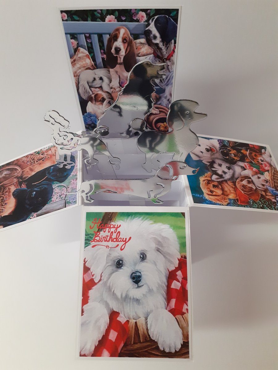 Ladies Birthday Card with Dogs