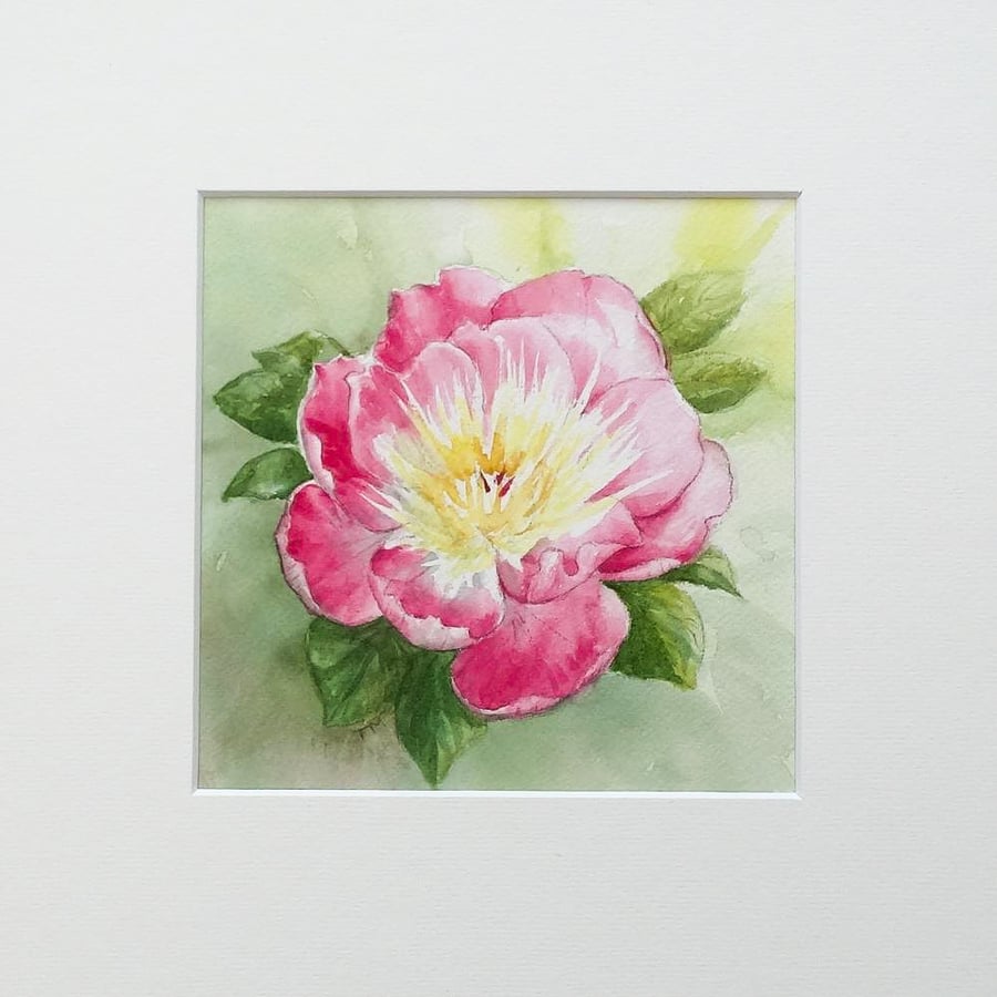 S A L E  Peony Painting Original Floral Watercolour Art