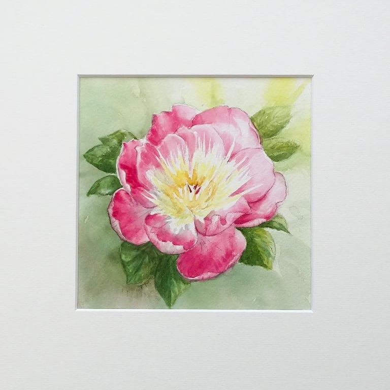 S A L E  Peony Painting Original Floral Watercolour Art