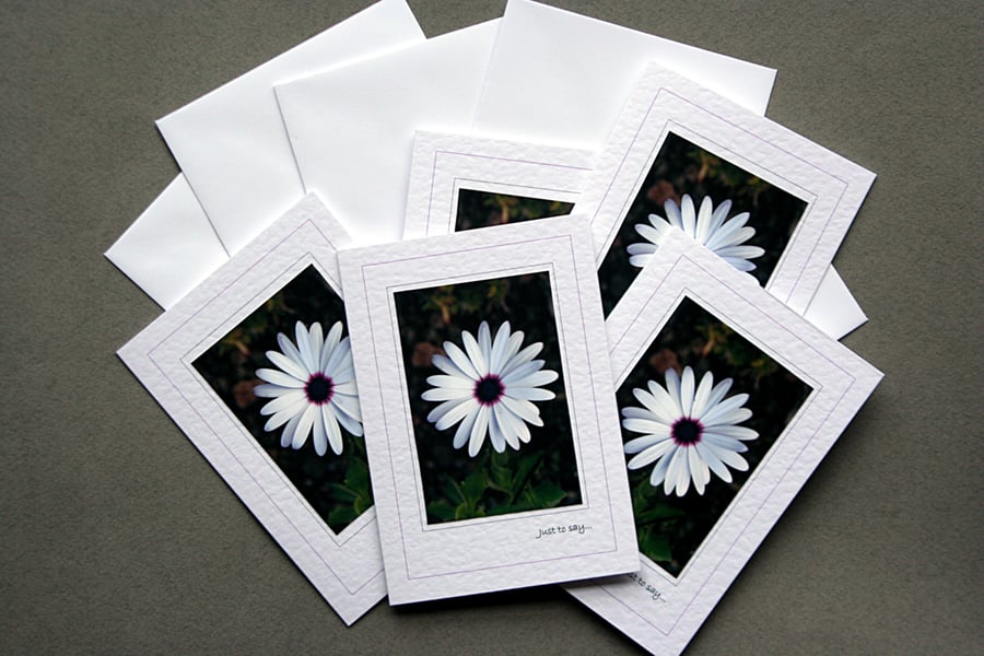 Daisy Notecards (pack of 5) - Handcrafted Notecards - dr15-0001