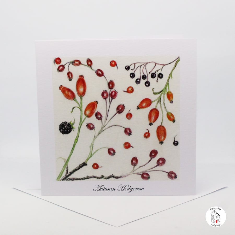 Hedgerow Berries Greeting Card - Blank Card - Birthday Card