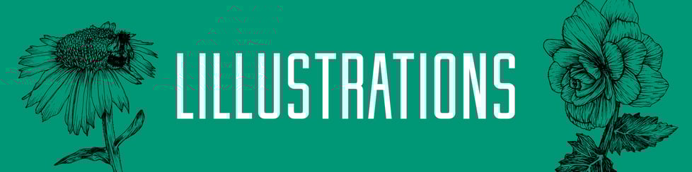 Lillustrations